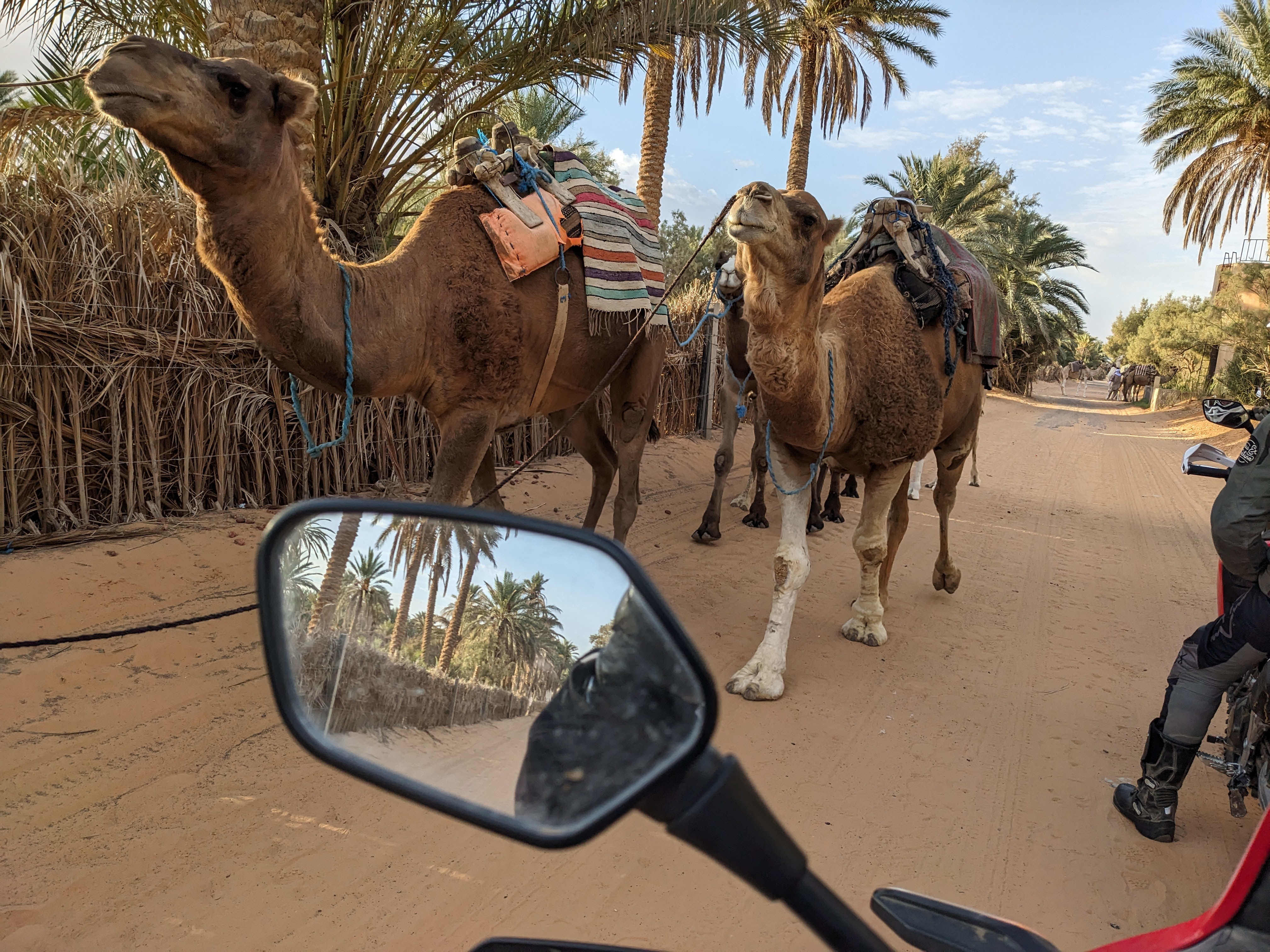 Rando Raid Trail Tunisie
